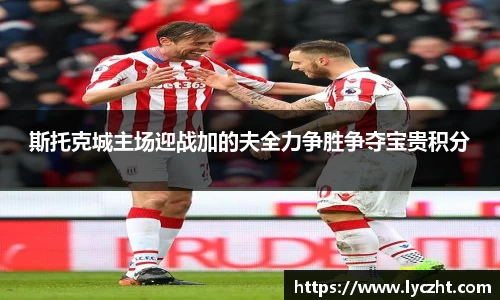 斯托克城主场迎战加的夫全力争胜争夺宝贵积分
