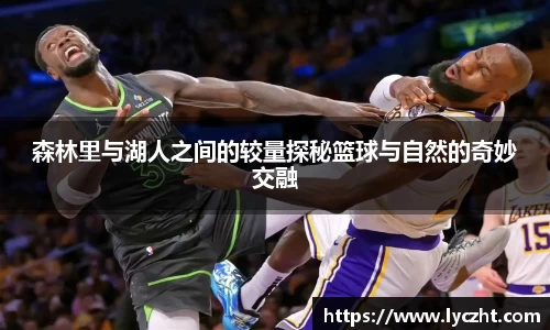 森林里与湖人之间的较量探秘篮球与自然的奇妙交融