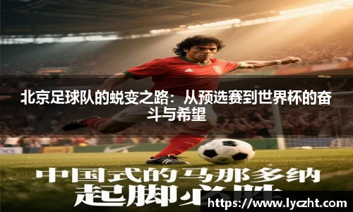 芒果体育登录注册